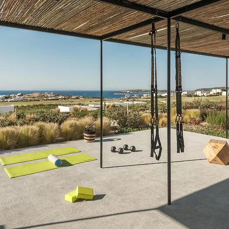Ovea Paros Hotel Naoussa
